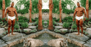 Welcome to Our Jungle