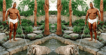Welcome to Our Jungle